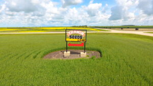 Naisberry Grid Road Trawin Seeds Sign